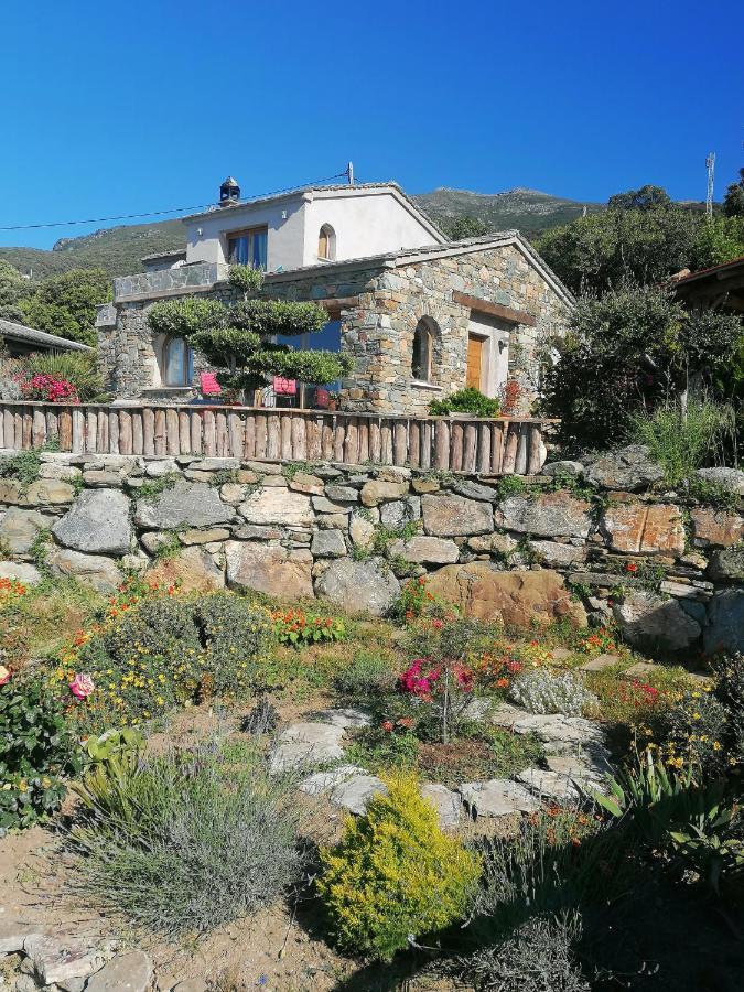 Logement De Charme Avec Piscine Privative Pino 외부 사진