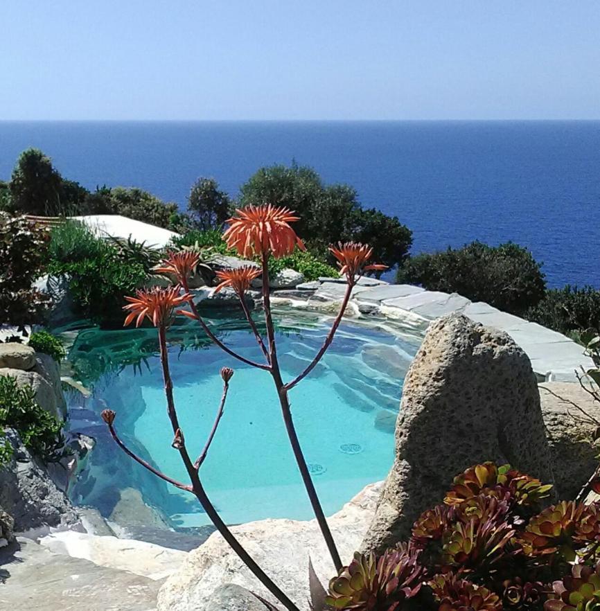 Logement De Charme Avec Piscine Privative Pino 외부 사진