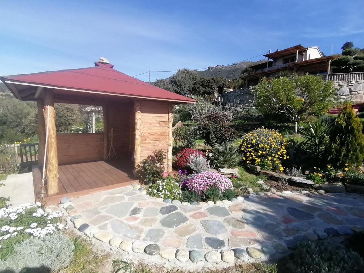 Logement De Charme Avec Piscine Privative Pino 외부 사진