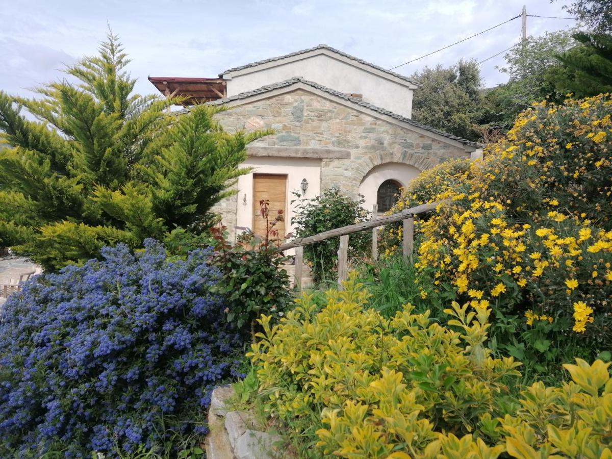 Logement De Charme Avec Piscine Privative Pino 외부 사진